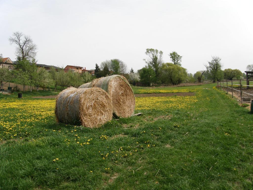 Vinný sklep Kovárna Rohatec Exterior foto